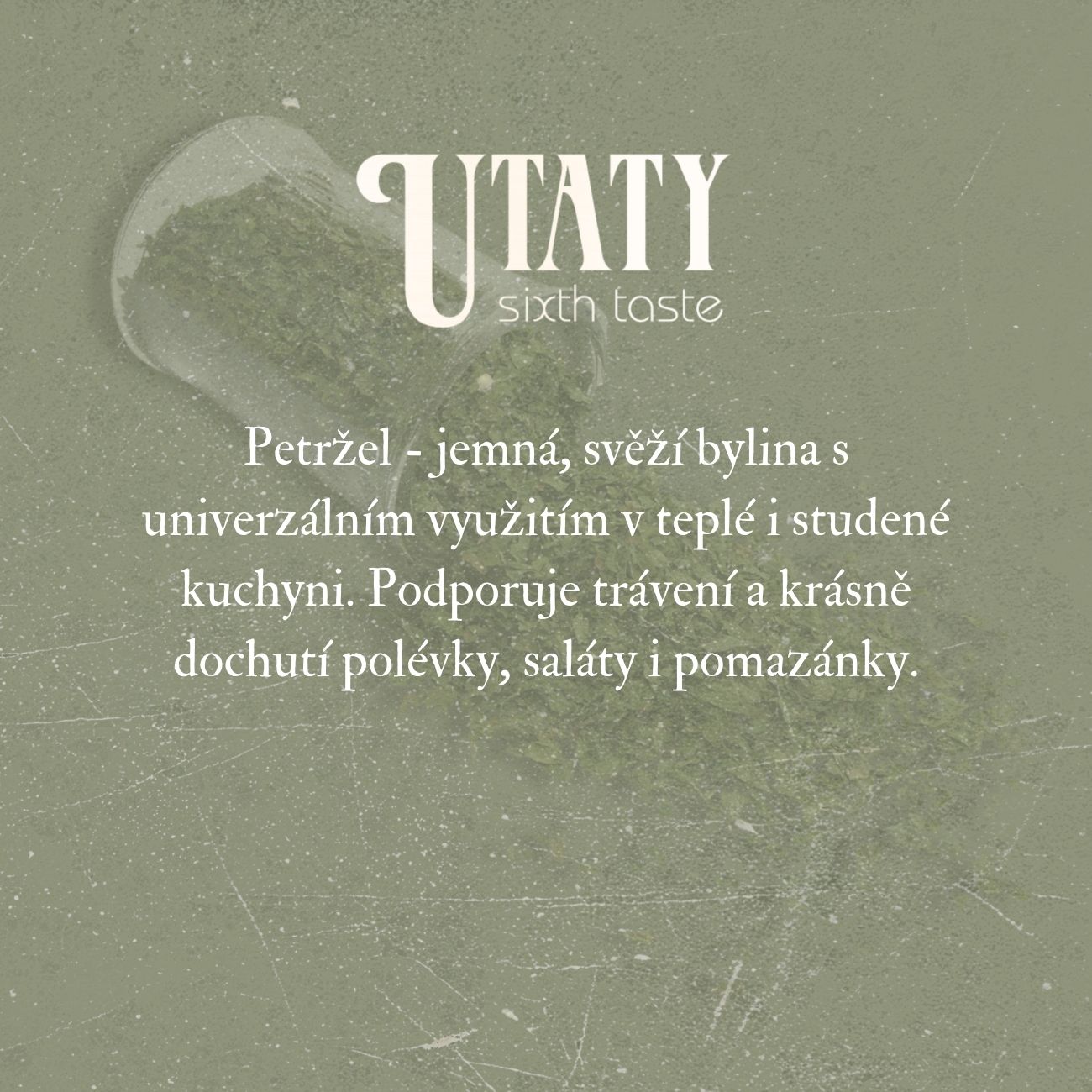 Petržel